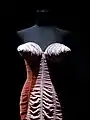 Gaultier's notoriety increased in the 1980s with several cone-breasted designs, similar to one worn on tour by Madonna.