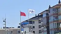 A flag in the beach of Zarautz alerting about the presence of jellyfish in the water.
