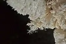 Aragonite frostwork is another speleothem found throughout the cave, typically in small crusts on the walls.