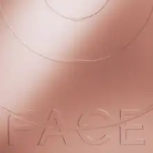 The lower portion of a copper-toned series of concentric circles, through one of which the word "Face" appears