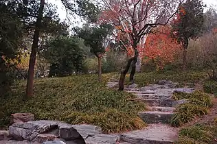 Jingshan in autumn, 2007