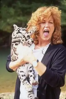 Color photo of woman with red hair laughing and holding clouded leopard cub attempting to climb her hair