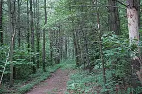 Joseph E. Ibberson Conservation Area, partly within Wayne Township