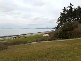 Looking down grassy hillside towards beach on cloudy day