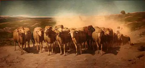 Flock of sheep leading the herd