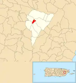 Location of Juncos barrio-pueblo within the municipality of Juncos shown in red