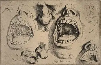 Studies of Noses and Mouths, ca. 1622, etching, 14.7 x 22.2 cm.
