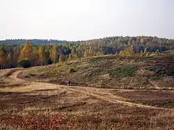 Heath in the Põhja-Kõrvemaa Nature Reserve in Estonia