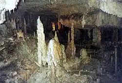 Dripstone in the King Otto dripstone cave