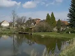 A pond in Křenovice
