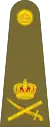 Lieutenant-General