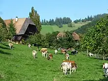 The Statthalterhof with its fields and cattle