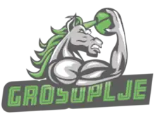 KK Grosuplje logo