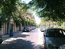 Photo of a calm one-lane street with cars and palm trees on both sides in bright sunlight