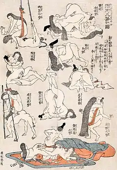 Illustrations of various sex positions