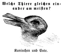 "Rabbit and Duck" from Fliegende Blätter (1892), an ambiguous image often used by Akerman to exemplify the both-and phenomenon in the visual arts.