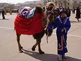 Kazakh boy wearing a national costume at the celebration of Nauryz event in Baikonur with a camel