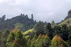 Muranga County showing the landscape