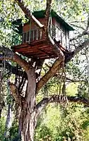 A treehouse in Marayur, Kerala, India