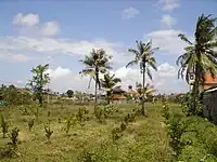 Kerobokan village