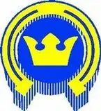 Logo used by Kiekko-Espoo 1984–98