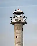 Top (lantern room and cupola) of Kiipsaare Lighthouse occupied by cormorants, 2023