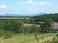 Panorama from the vinehill