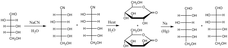 Kiliani-Fischer synthesis starting from D-arabinose, a five-carbon sugar, showing intermediates of each step and forming D-glucose and D-mannose, both six carbon sugars