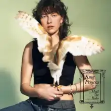 Person with bird perched on their arm looks into the camera, in front of a light green background. Bottom right corner reads "King Princess: Hold On Baby"