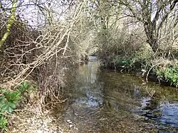 Kingston Brook at East Leake