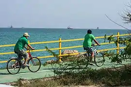 There are bike paths all over the Kish Island