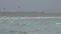 Kitesurfing on Newborough beach