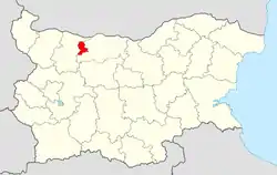 Knezha Municipality within Bulgaria and Pleven Province.