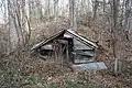 Shed in the wood