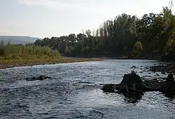 Soła River in Kobiernice