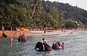 The third biggest island of Thailand, Ko Chang ('Elephant Island')