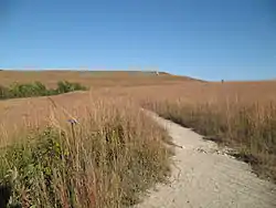 A Konza walking trail in the fall.