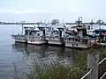 Squid boats on Lake Cheongchoho in Sokcho