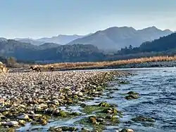 Kosi river flowing through Jim Corbett National Park in Ramnagar, Kumaon, India