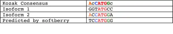 Surrounding sequence of start codons compared to Kozak consensus sequence