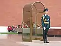 Guarding the Tomb of the Unknown Soldier, with a ceremonial SKS rifle