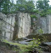 Roman quarry Kriemhildenstuhl