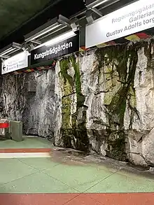 Moss growing on the station walls