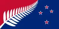 A Silver fern flag designed by Kyle Lockwood. It won a Wellington newspaper flag competition in July 2004 and appeared on TV3 in 2005 after winning a poll which included the present national flag.