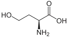 Skeletal formula