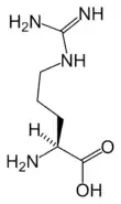 L-Arginine(Arg / R)
