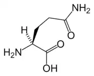 L-Glutamine(Gln / Q)