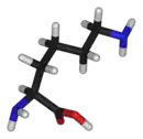 3D structure of L-lysine