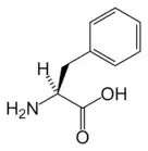 L-Phenylalanine(Phe / F)
