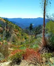 In Angeles National Forest